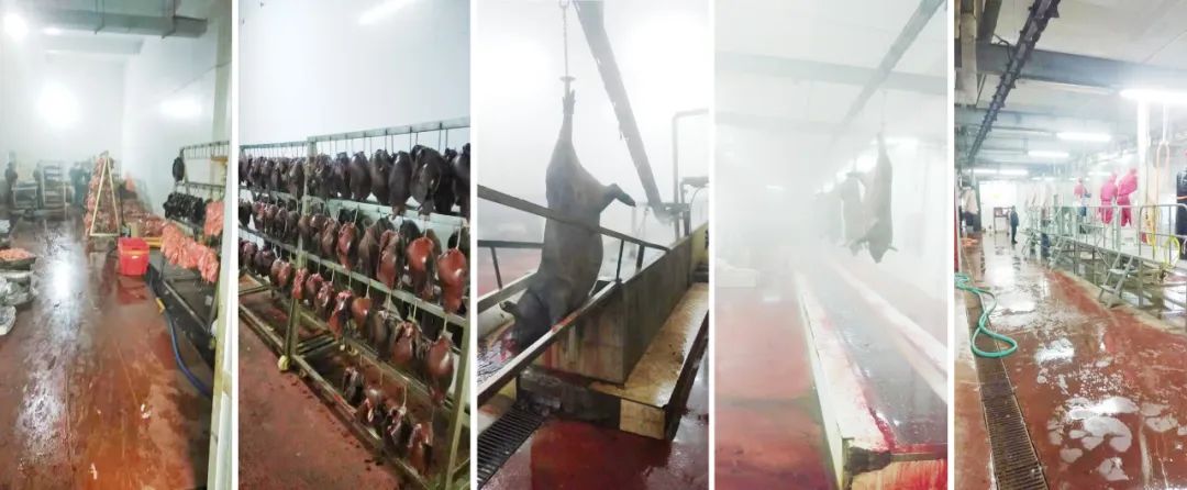 空氣能熱水工程